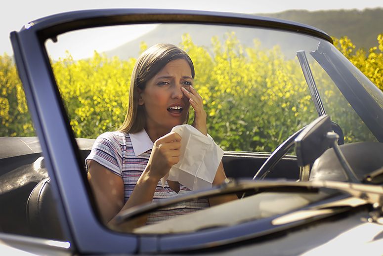3 Tips to Alleviate Your Allergies in the Car